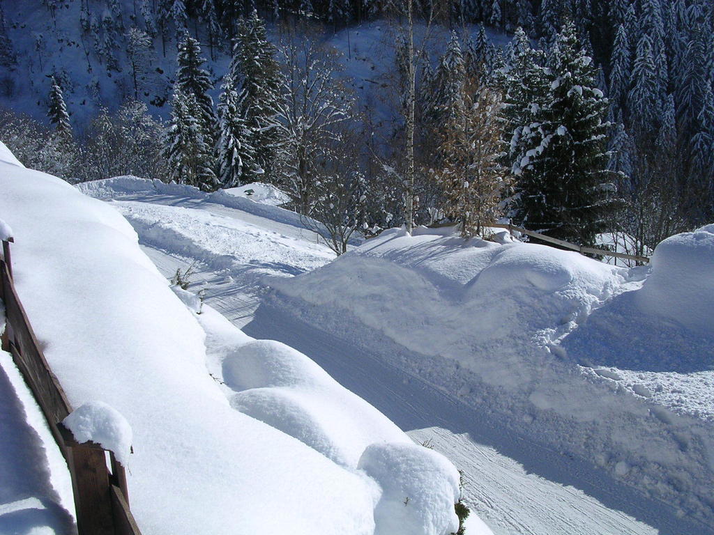 Oberschernthann Hopfgarten im Brixental